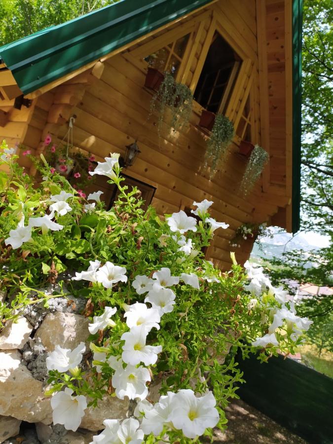 Brvnara Fairy Tale * Cetinje
